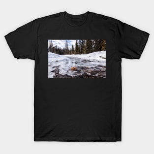 On Thin Ice T-Shirt